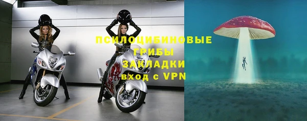 бошки Алексин
