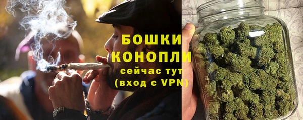 бошки Алексин