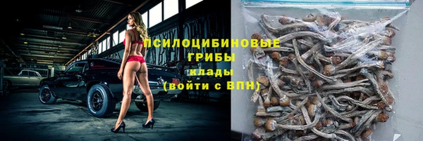 бошки Алексин