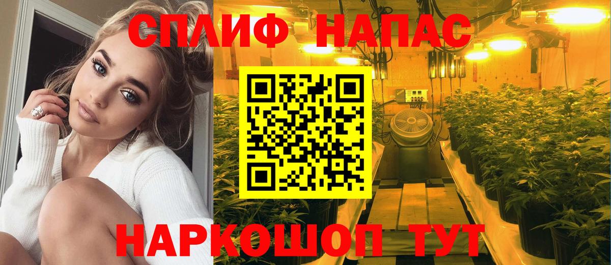 Киржач  Марихуана Bruce Banner  Вход с VPN  Марихуана Ganja 
